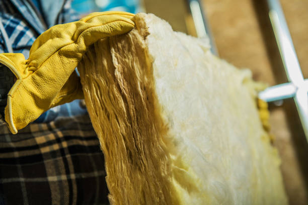 Best Insulation Maintenance and Repair in Hitchcock, TX